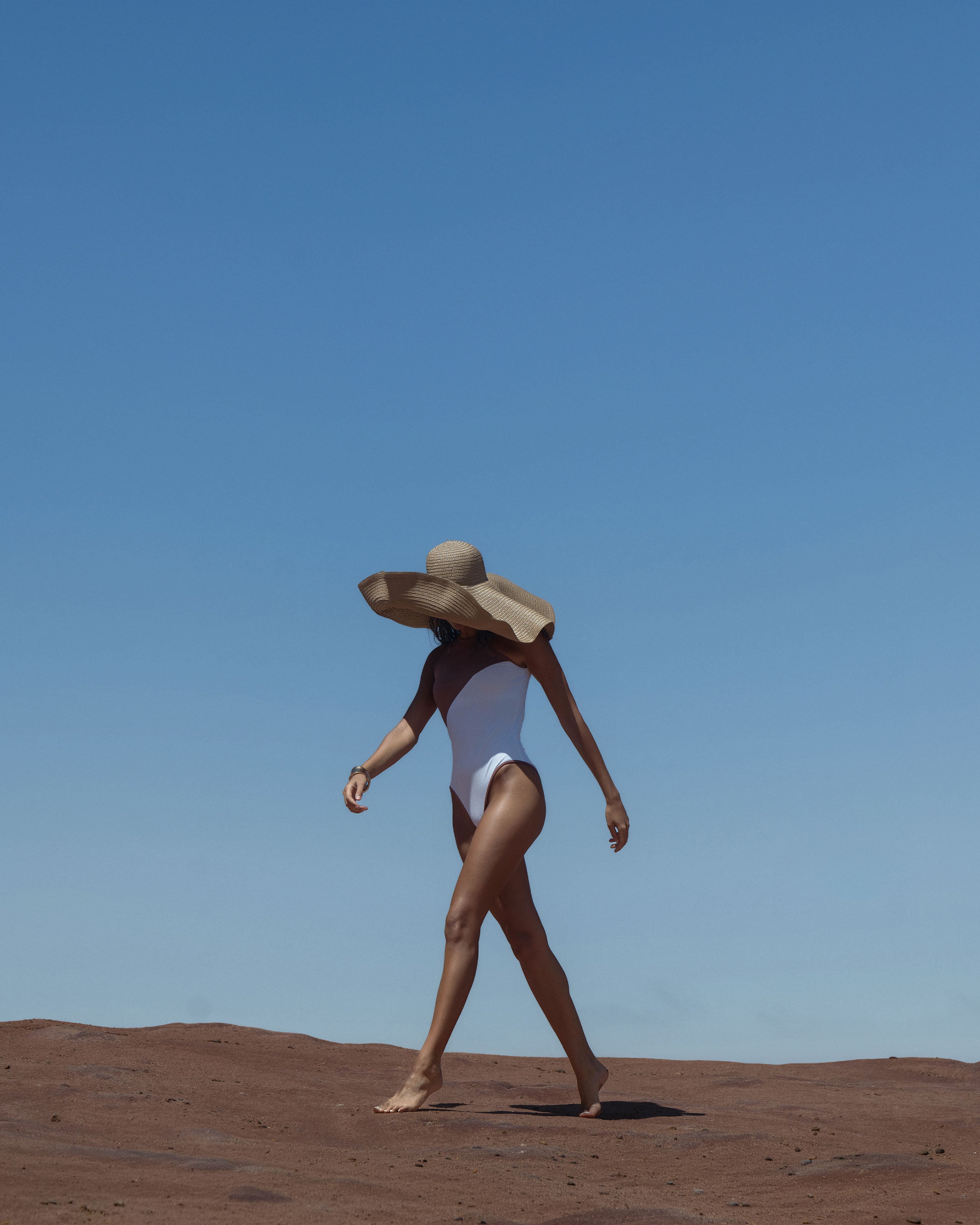 Terre V1