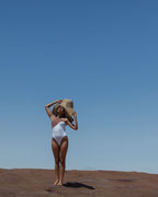 Terre V1